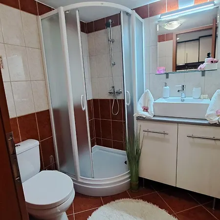 Apartment Viktoria Gyula