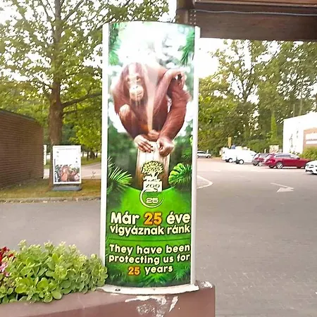 Viktoria * Nyíregyháza
